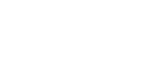 Brukon Paint Brush Cleaning